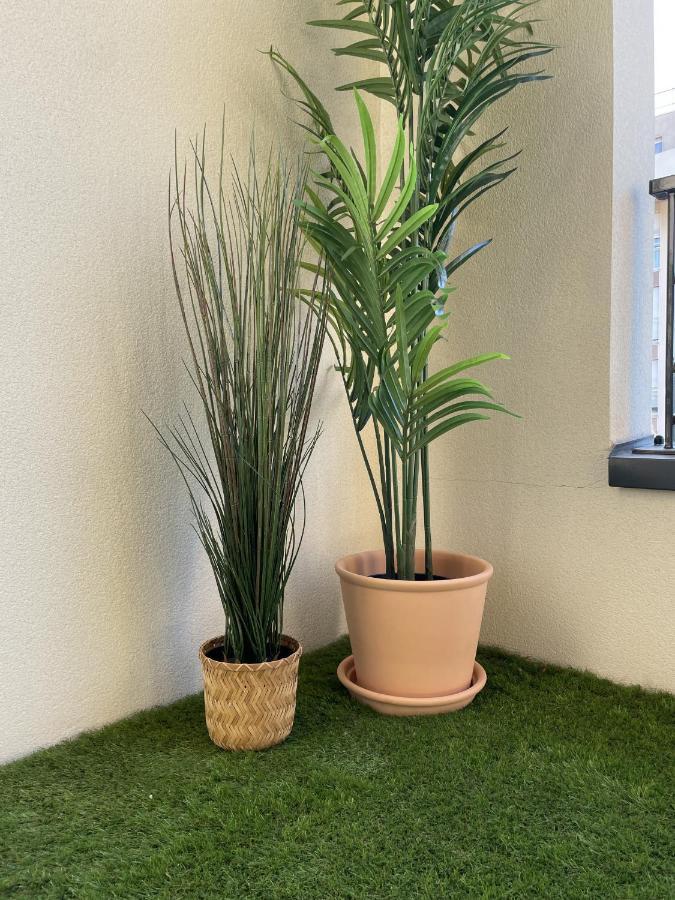 Alba Appartement